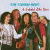 A Friend Like You